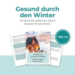 eBook: Gesund durch den Winter