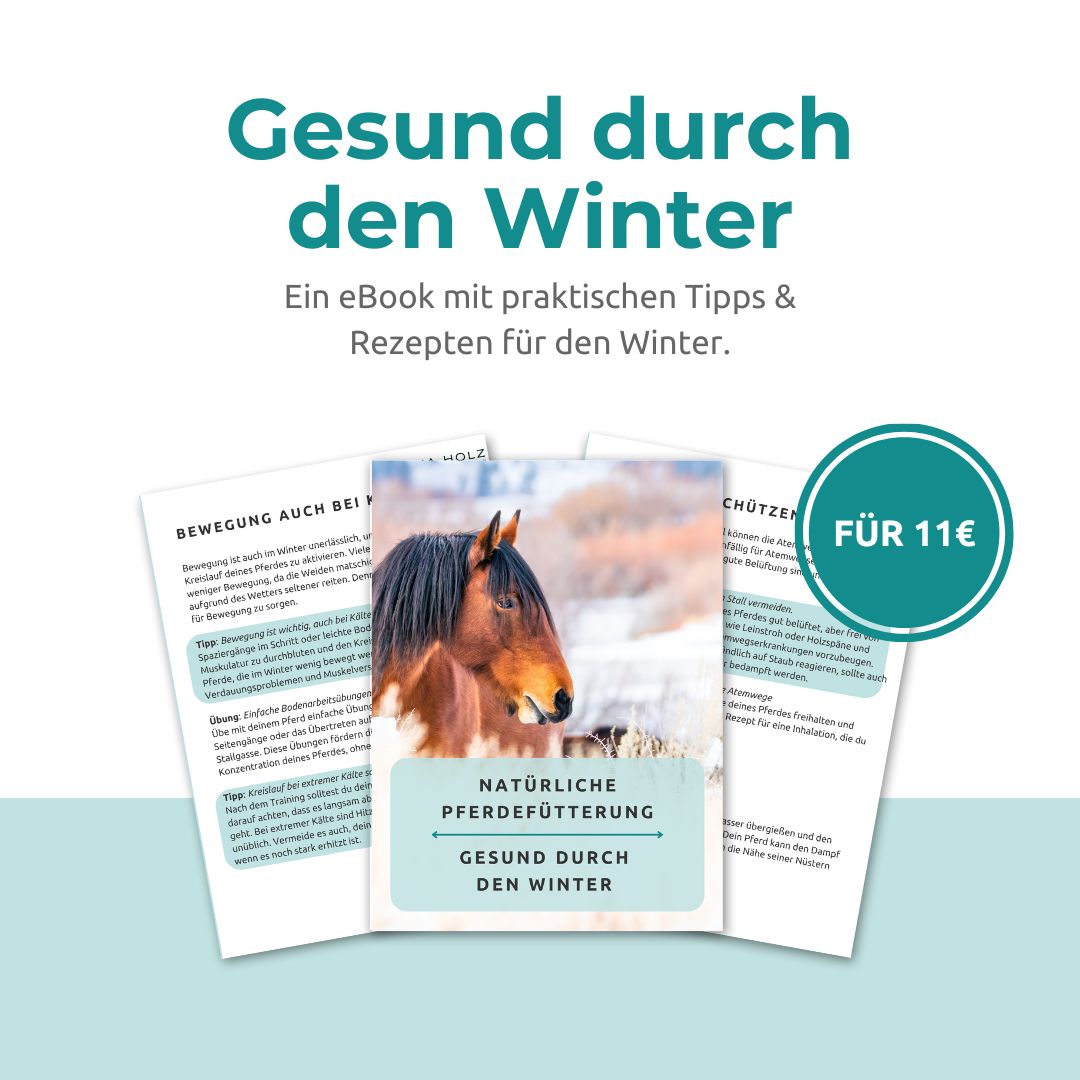 eBook: Gesund durch den Winter