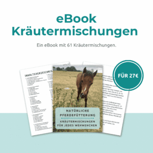 eBook Kräutermischungen