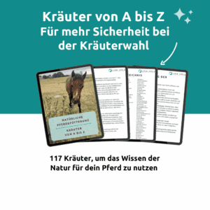eBook Kräuter von A bis Z