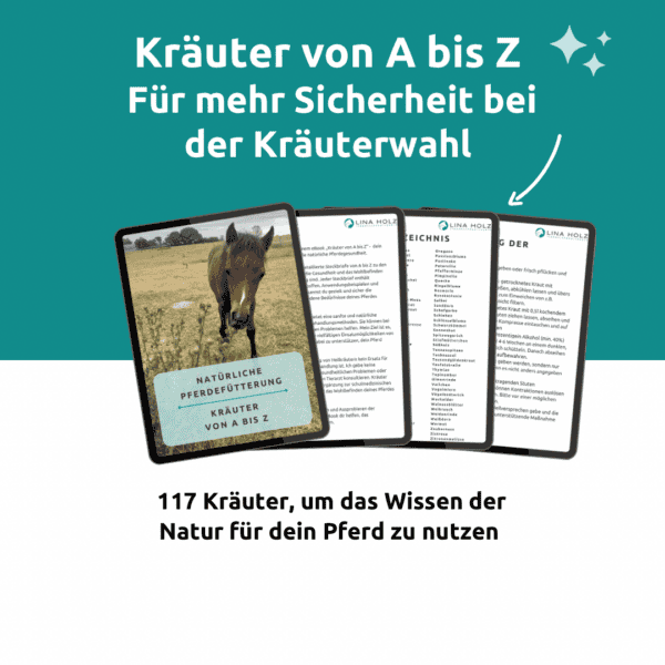 eBook Kräuter von A bis Z