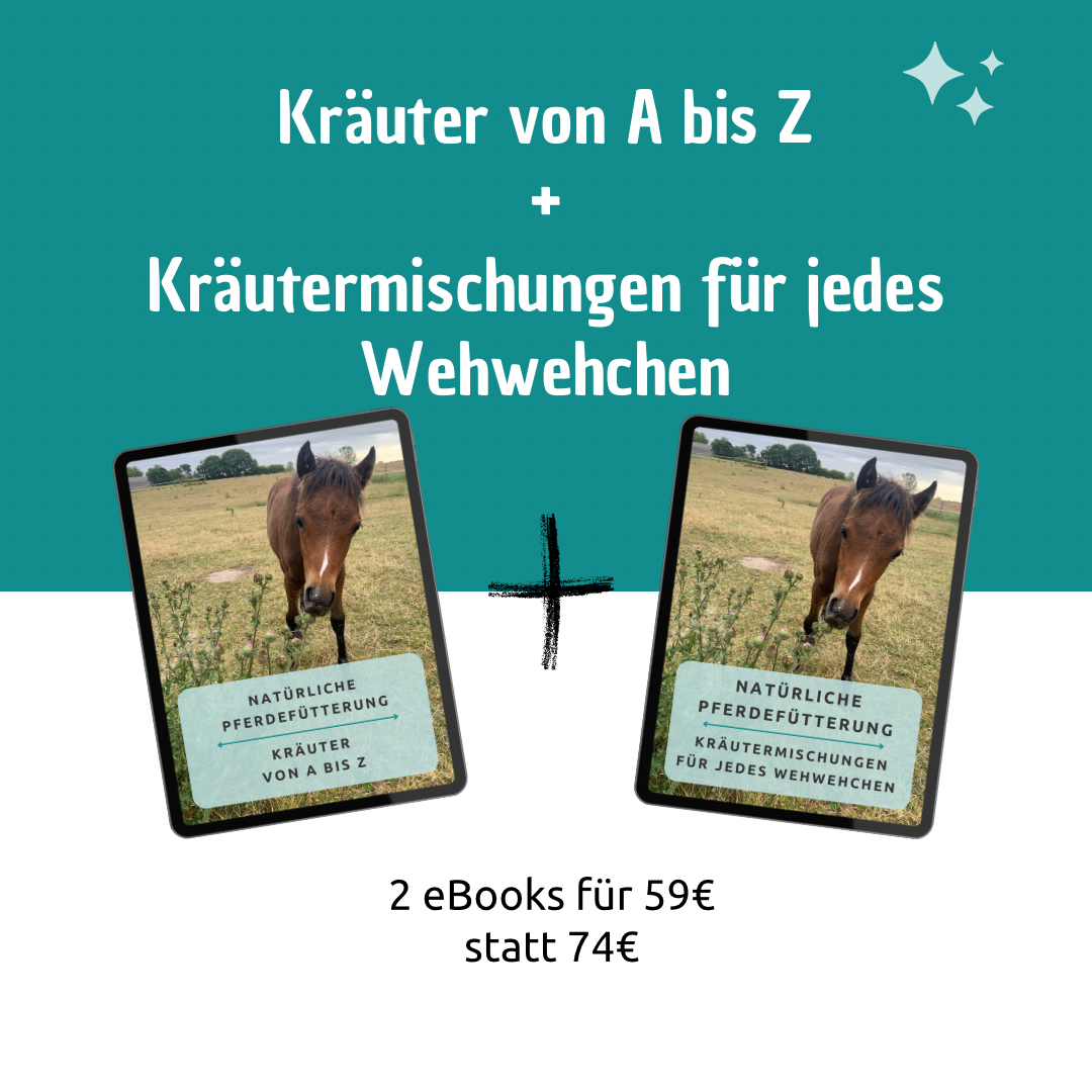 Kräuter eBook Bundle
