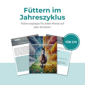Füttern im Jahreszyklus