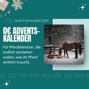 0€ Adventskalender für Pferdebesitzer, die endlich verstehen wollen, was ihr Pferd wirklich braucht. Nur für kurze Zeit