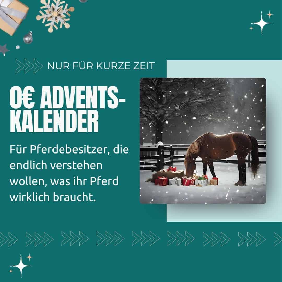 0€ Adventskalender für Pferdebesitzer, die endlich verstehen wollen, was ihr Pferd wirklich braucht. Nur für kurze Zeit