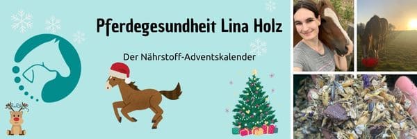 Nährstoff Advenkalender