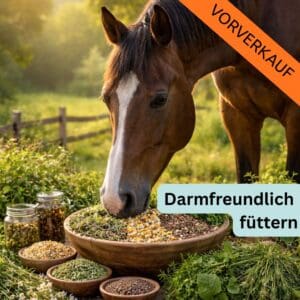 Darmfreundlich füttern