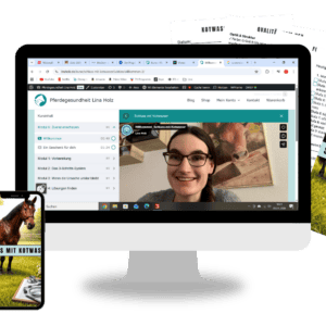 Schluss mit Kotwasser