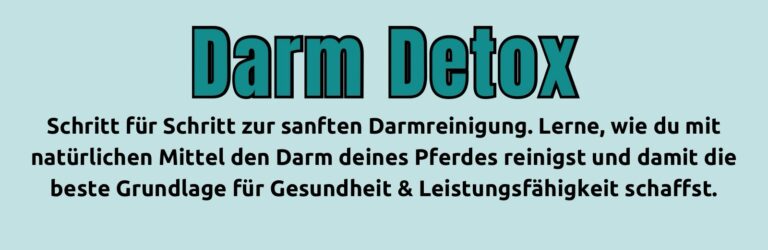 Darm Detox. Schritt für Schritt zur sanften Darmreinigung. Lerne, wie du mit natürlichen Mitteln den Darm deines Pferdes reinigst und damit die beste Grundlagen für Gesundheit und Leistungsfähigkeit schaffst.