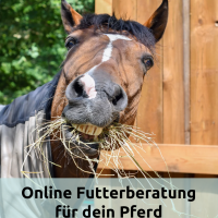 Futterberatung